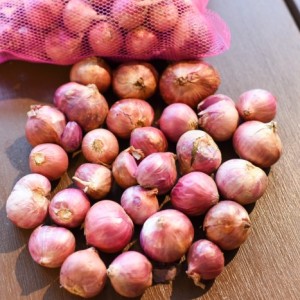 紫玉ねぎ・Hành tím・Purple Onion ( 1Kg )